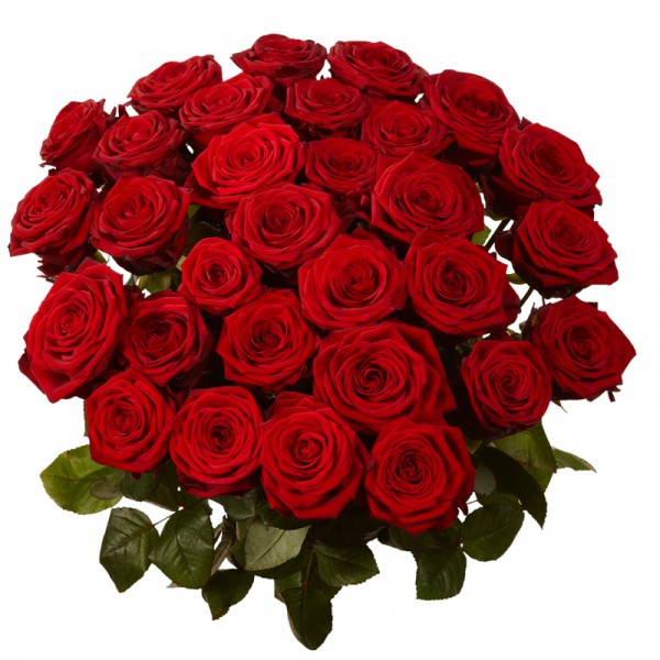 send 30 red roses to belgaum on midnight