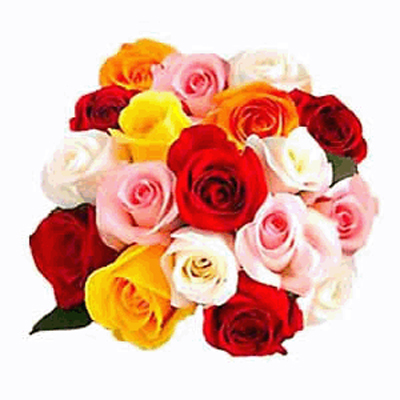 Valentine Roses to mysore