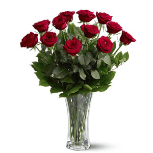 buy red roses in belgaum 
