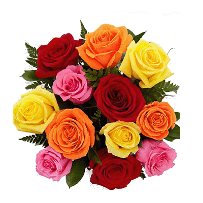 send Bunch of  25 Mixed Roses to mysore