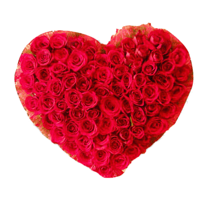 send heart shape roses to mysore