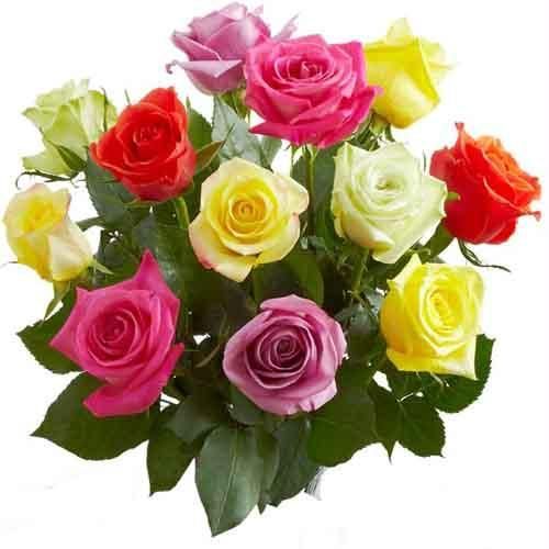 send multi color roses to mysore