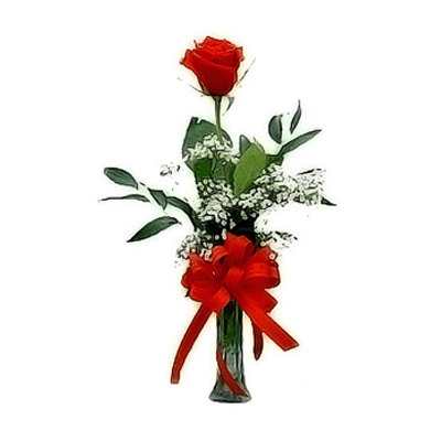 a single red rose in a vase