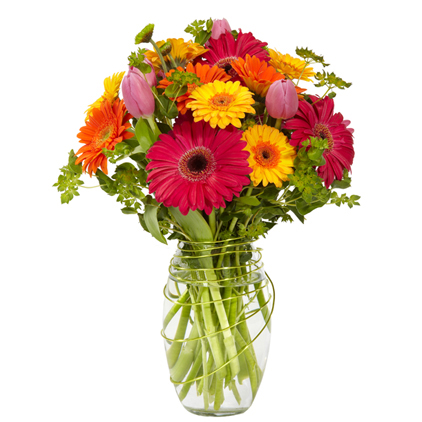 12 different color gerberas in a vase